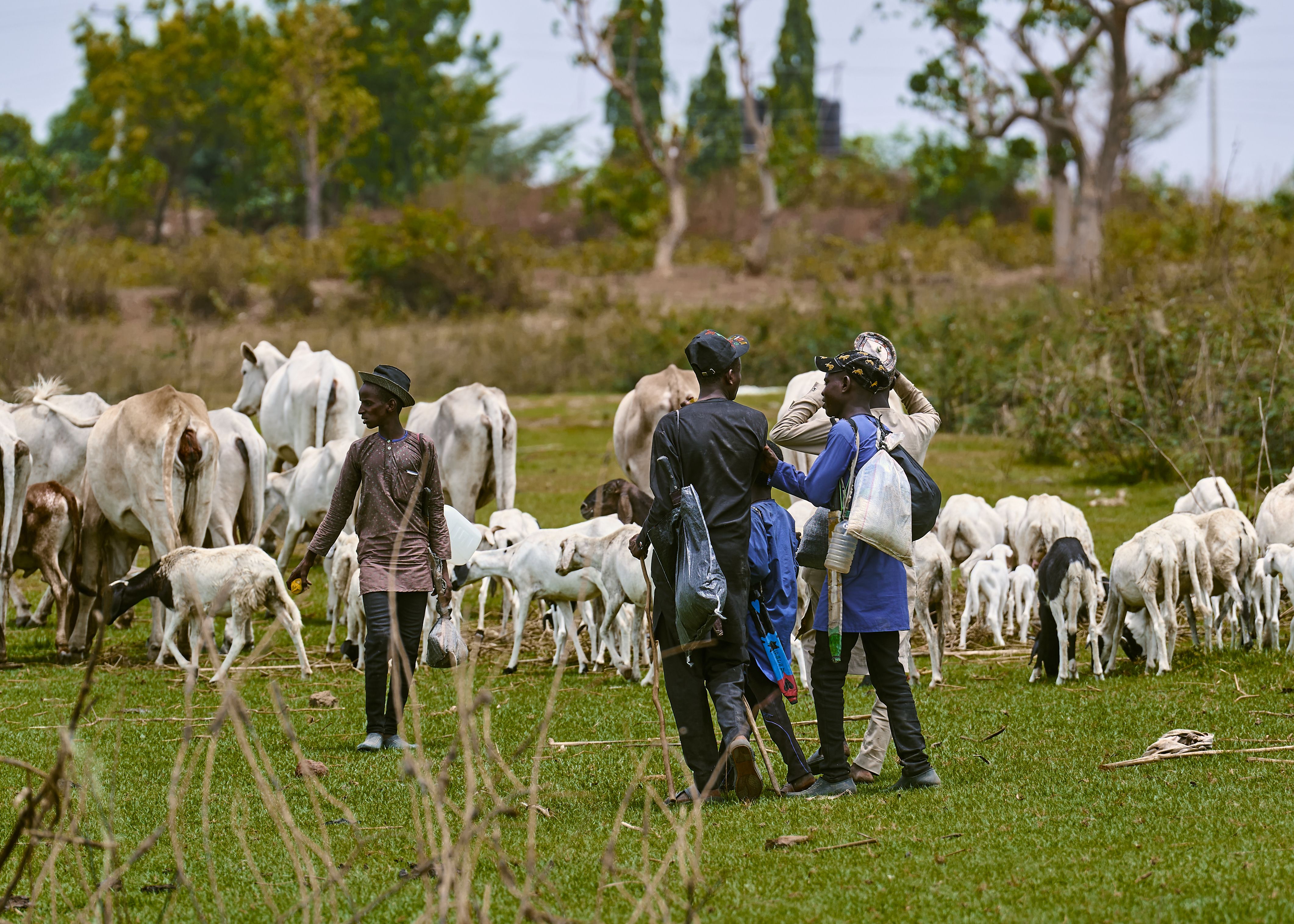 Farm team reviewing herd records together